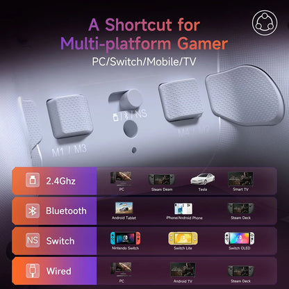 Wireless Gamepad Enhanced Controller Compatible with PC/NS/TV/Phone/Laptop, Hall Micro Triggers Joystick RGB Effect